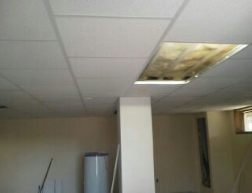 Family Kitchen Installation